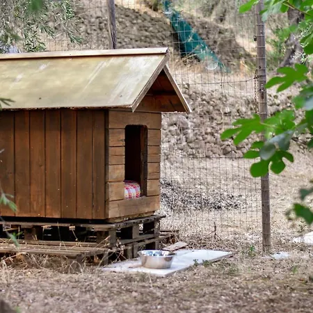 Prázdninový dům Casa Da Maria,